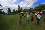 IMG_4185_